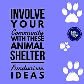 fundraising ideas for animal shelters|48 Fundraising Ideas for Animals and Pets .